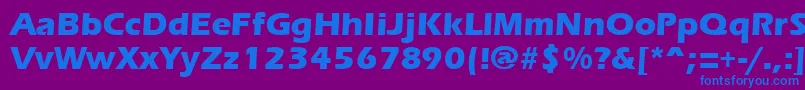 ErgoemildextraboldRegular Font – Blue Fonts on Purple Background