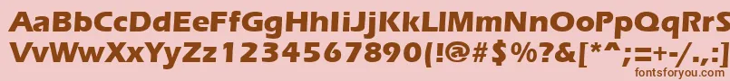 ErgoemildextraboldRegular Font – Brown Fonts on Pink Background