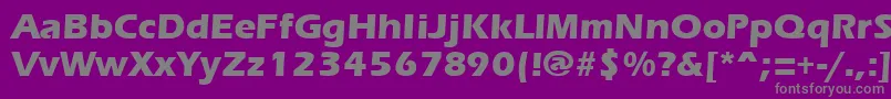 ErgoemildextraboldRegular-fontti – harmaat kirjasimet violetilla taustalla