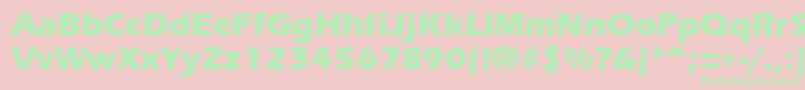 ErgoemildextraboldRegular Font – Green Fonts on Pink Background