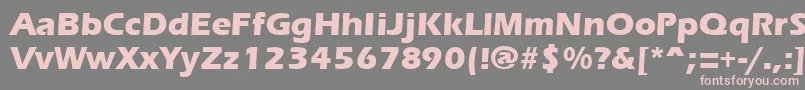 ErgoemildextraboldRegular-Schriftart – Rosa Schriften auf grauem Hintergrund