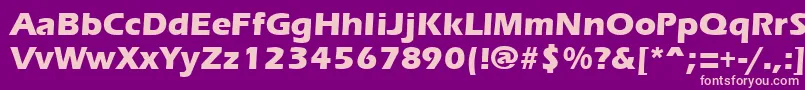 ErgoemildextraboldRegular Font – Pink Fonts on Purple Background