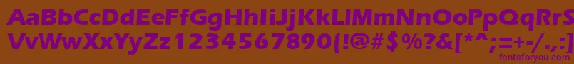 ErgoemildextraboldRegular Font – Purple Fonts on Brown Background