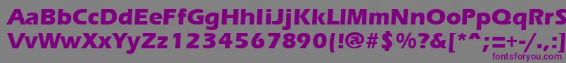 ErgoemildextraboldRegular Font – Purple Fonts on Gray Background