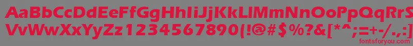 ErgoemildextraboldRegular Font – Red Fonts on Gray Background