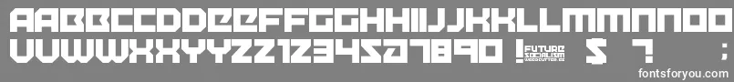 FutureSocialism Font – White Fonts on Gray Background