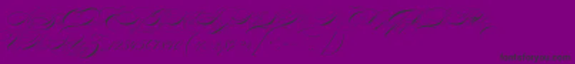 P22zanertwo-Schriftart – Schwarze Schriften auf violettem Hintergrund