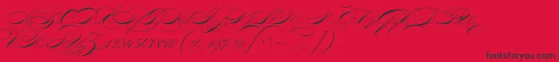P22zanertwo Font – Black Fonts on Red Background