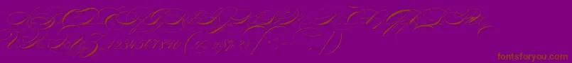 More about P22zanertwo Font P22zanertwo Font – Brown Fonts on Purple Background