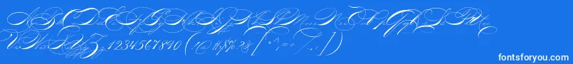 P22zanertwo-Schriftart – Weiße Schriften auf blauem Hintergrund