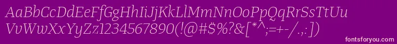 TangerserifmediumulLightitalic Font – Pink Fonts on Purple Background