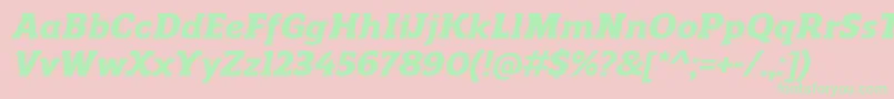 ReganslabHeavyitalic Font – Green Fonts on Pink Background