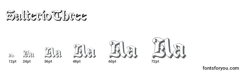 SalterioThree Font Sizes