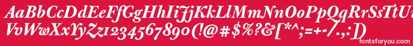 JbaskervilletmedBolditalic Font – White Fonts on Red Background