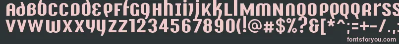 Y2kAnalogLegacy Font – Pink Fonts on Black Background