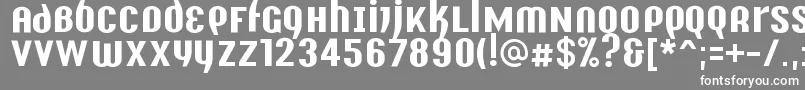フォントY2kAnalogLegacy – 灰色の背景に白い文字