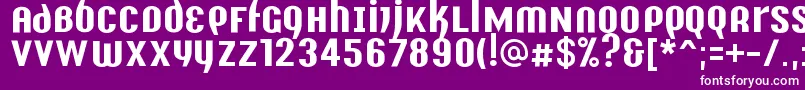 Y2kAnalogLegacy Font – White Fonts on Purple Background