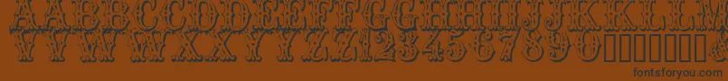 Trocader Font – Black Fonts on Brown Background