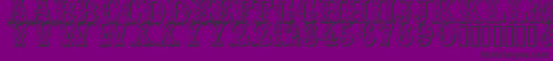 Trocader Font – Black Fonts on Purple Background