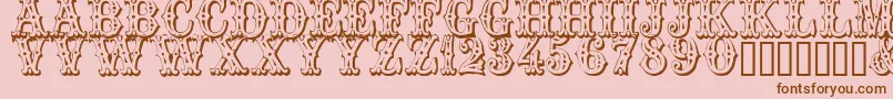 Trocader Font – Brown Fonts on Pink Background