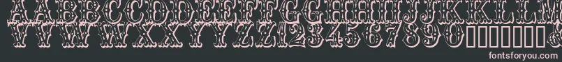 Trocader Font – Pink Fonts on Black Background