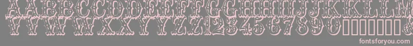 Trocader Font – Pink Fonts on Gray Background