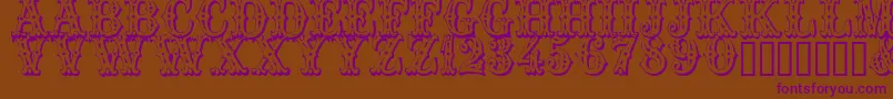 Trocader Font – Purple Fonts on Brown Background