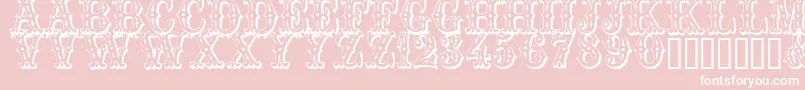 Trocader Font – White Fonts on Pink Background