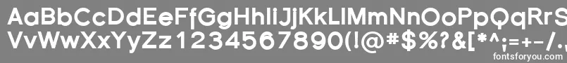 フォントFlorsn33 – 灰色の背景に白い文字