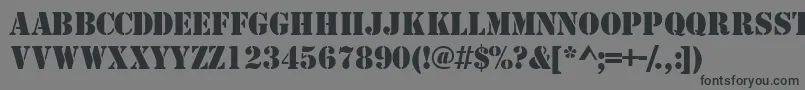 Tempcs Font – Black Fonts on Gray Background