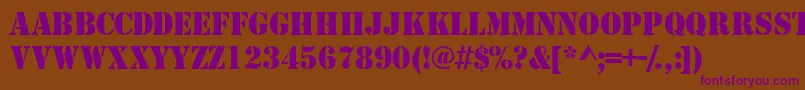 Tempcs Font – Purple Fonts on Brown Background