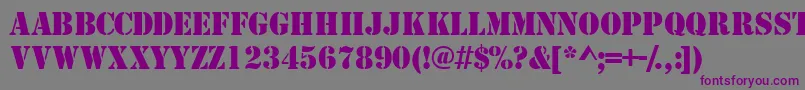 Шрифт Tempcs – фиолетовые шрифты на сером фоне