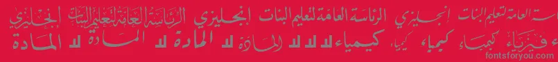 McsSchool2 Font – Gray Fonts on Red Background