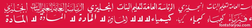 McsSchool2 Font – White Fonts on Red Background