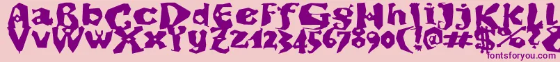 DikovinaBold Font – Purple Fonts on Pink Background