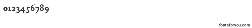 ChanticleerRomanNfBold Font – Fonts for Numbers and Digits