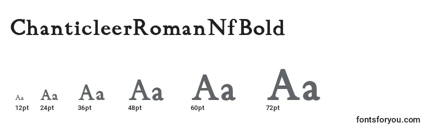 ChanticleerRomanNfBold Font Sizes