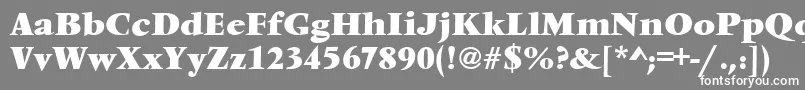VendometBold Font – White Fonts on Gray Background
