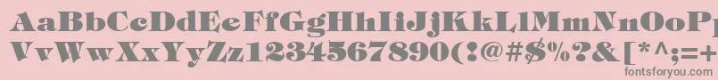 Tiffblack Font – Gray Fonts on Pink Background