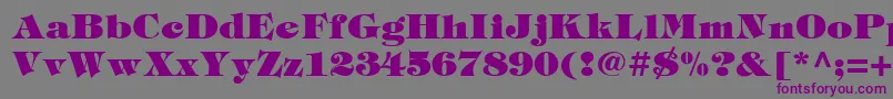 Tiffblack Font – Purple Fonts on Gray Background