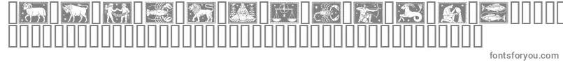 Zodiac01 Font – Gray Fonts on White Background