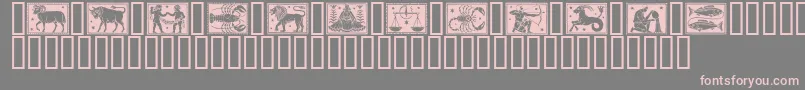 Zodiac01 Font – Pink Fonts on Gray Background