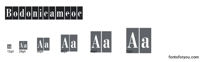 Bodonicameoc Font Sizes