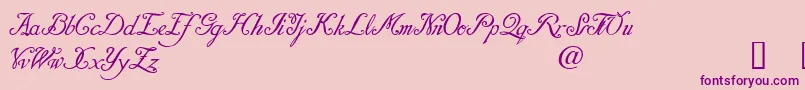 DaresielDemo-Schriftart – Violette Schriften auf rosa Hintergrund