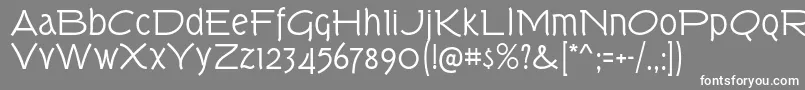 TorkRg Font – White Fonts on Gray Background
