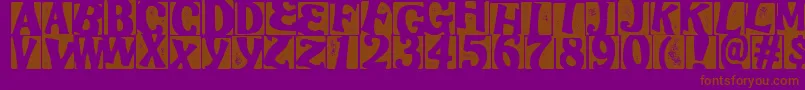 StampooRegular Font – Brown Fonts on Purple Background