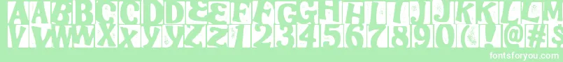 StampooRegular Font – White Fonts on Green Background