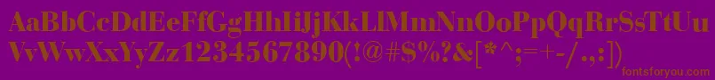BodoniDisplayBold-Schriftart – Braune Schriften auf violettem Hintergrund