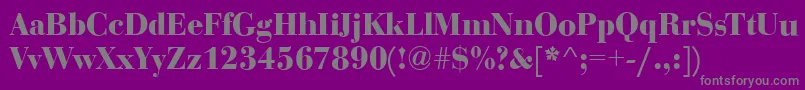 フォントBodoniDisplayBold – 紫の背景に灰色の文字