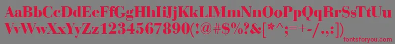 BodoniDisplayBold Font – Red Fonts on Gray Background